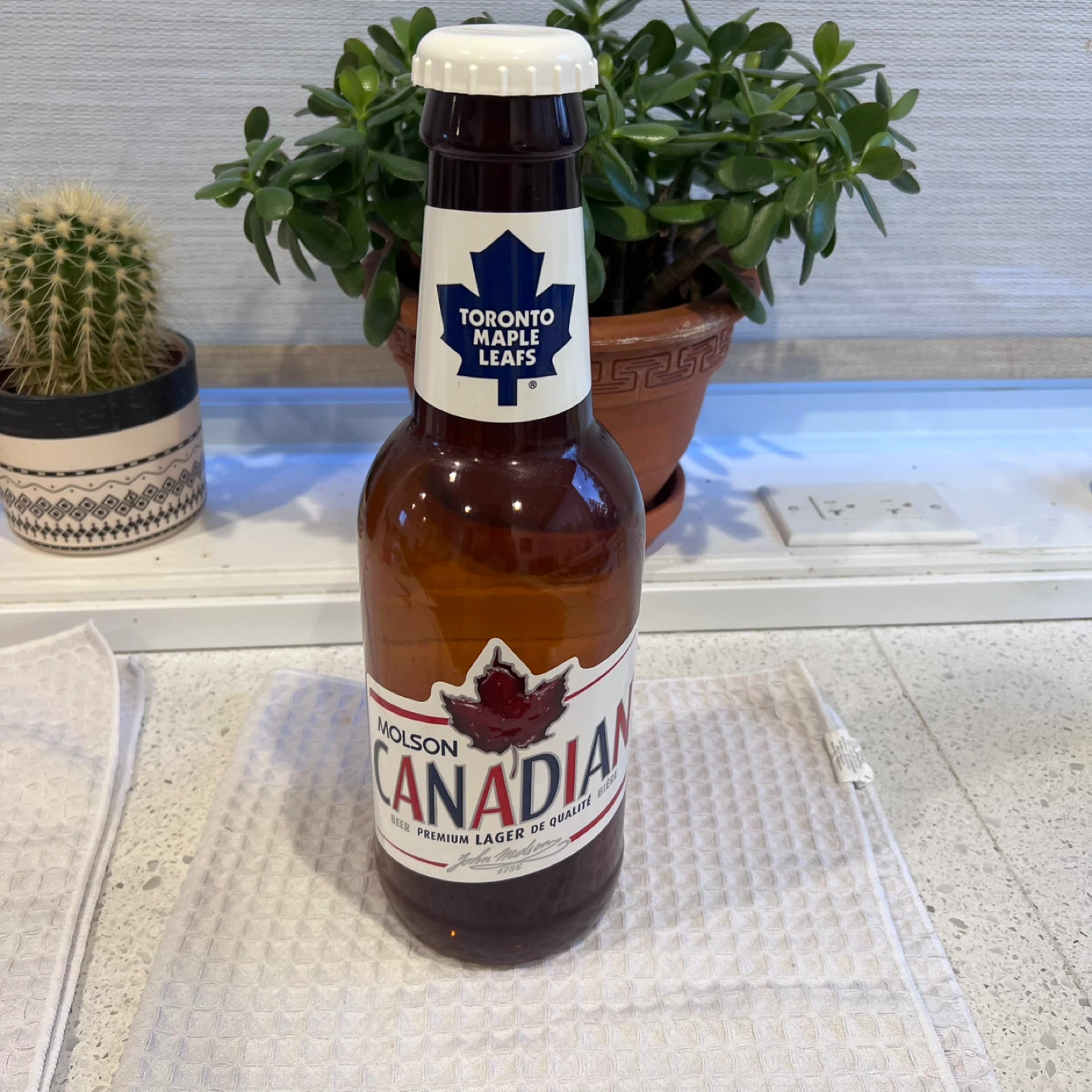 Molson Canadian Toronto Maple Leafs Beer Bottle Piggy Bank