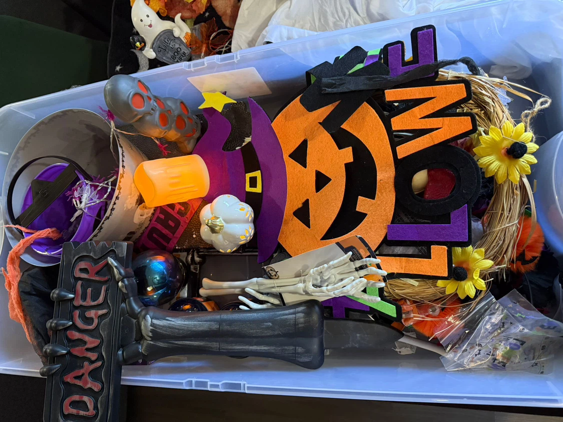 Halloween Decorations +  Storage Bin