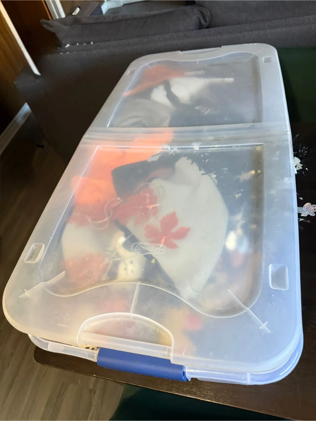 Halloween Decorations +  Storage Bin - photo 2