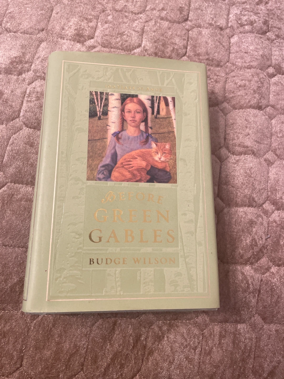 Before Green Gables by Budge Wilson Book
