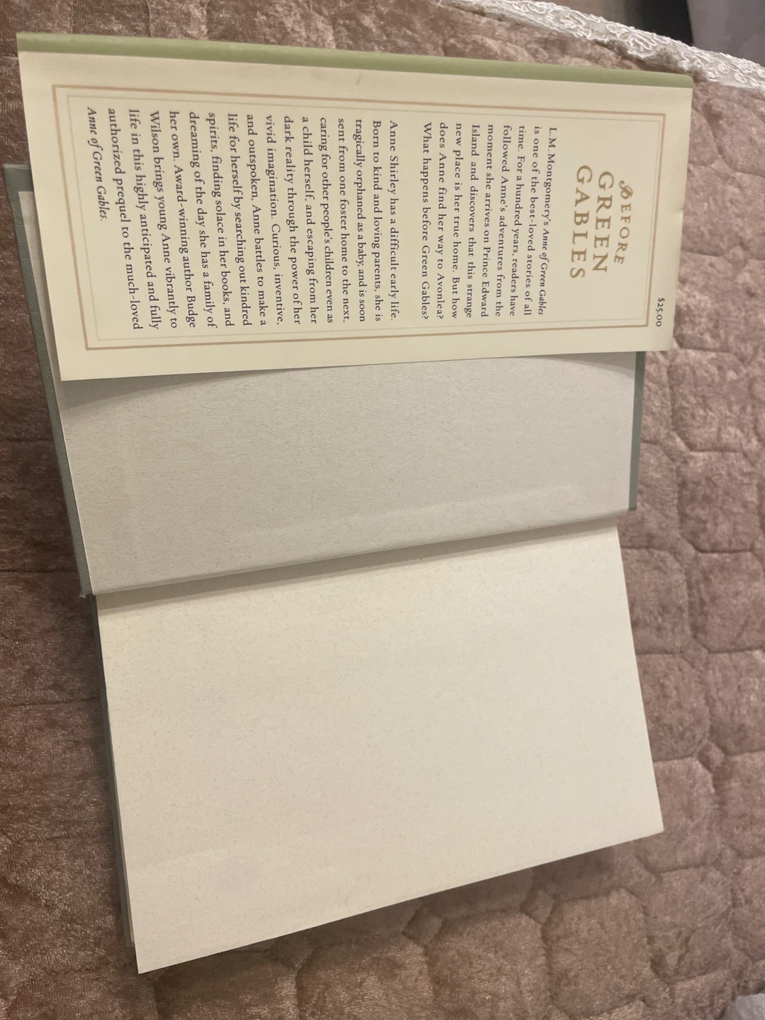 Before Green Gables by Budge Wilson Book - photo 2