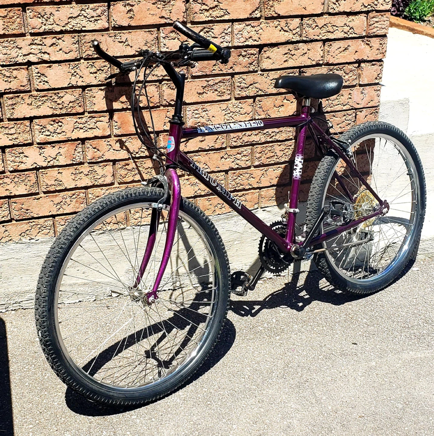 Triumph Mountain Bike