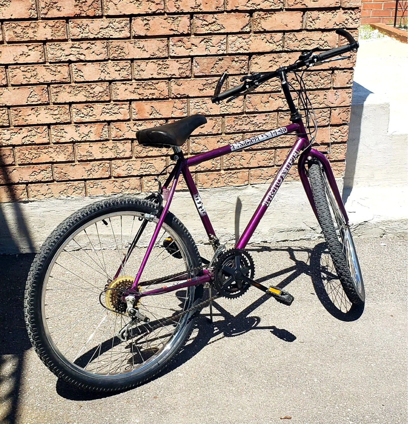 Triumph Mountain Bike - photo 4