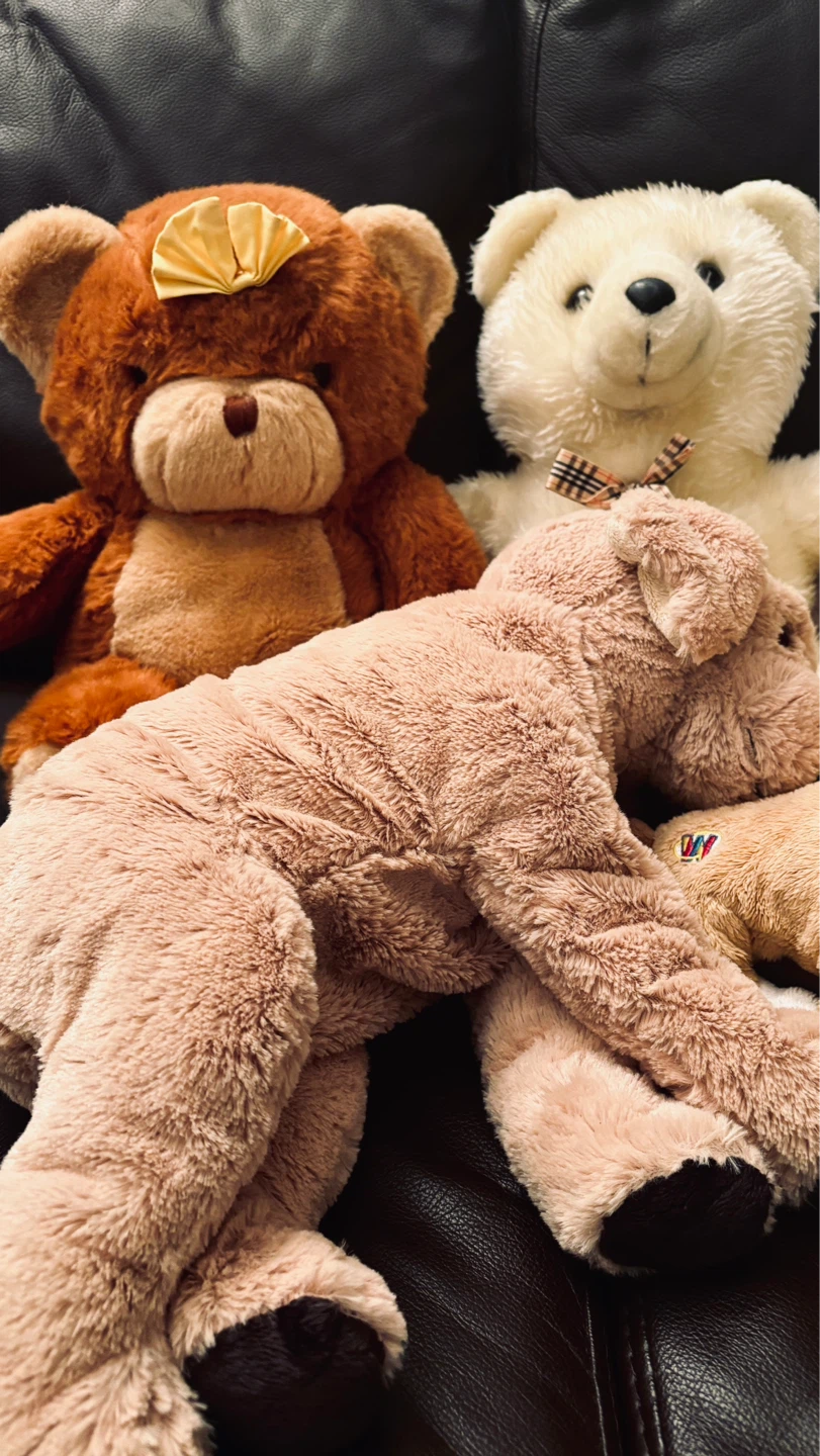 🧸 Plushie Adoption Center 🧸 - photo 2