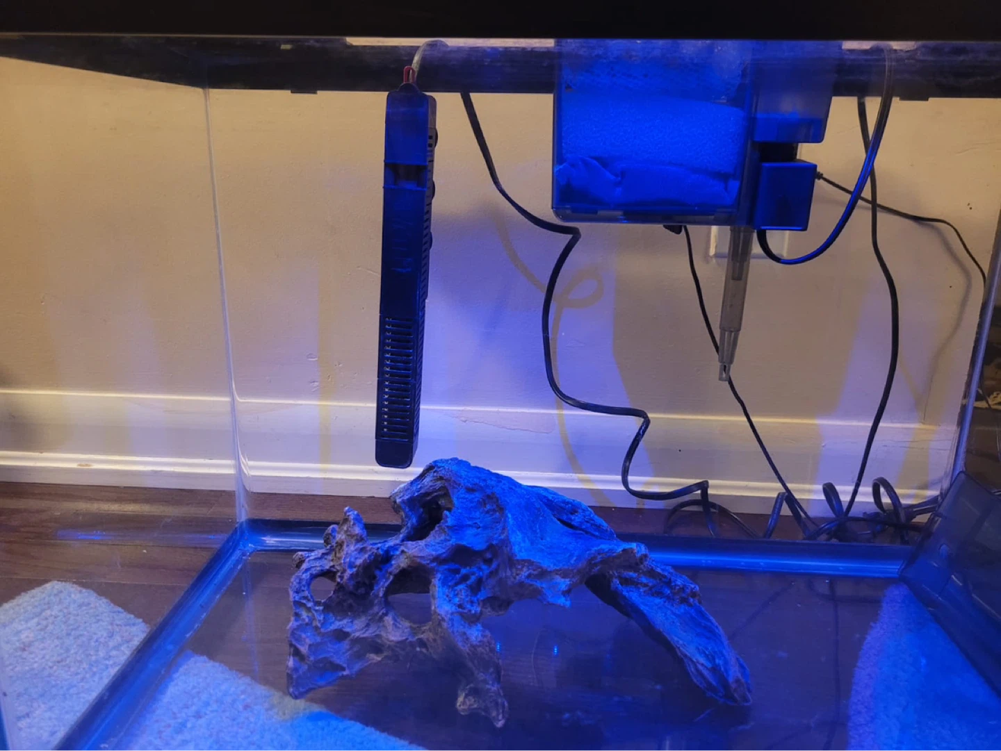 Aquarium with Filter and Heater - photo 5