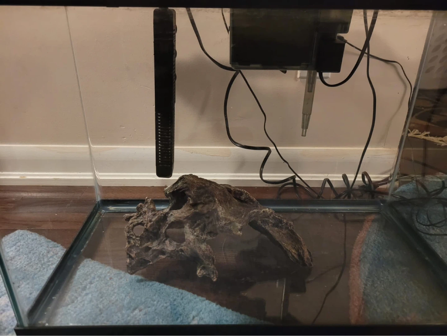 Aquarium with Filter and Heater - photo 4