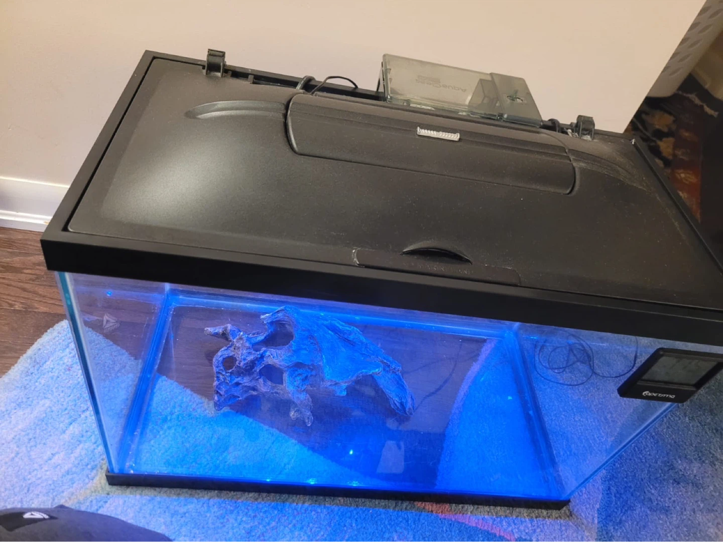 Aquarium with Filter and Heater