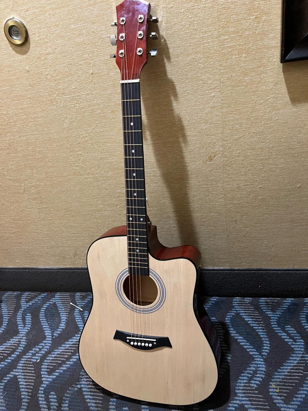 Acoustic Guitar with Gig Bag and Accessories