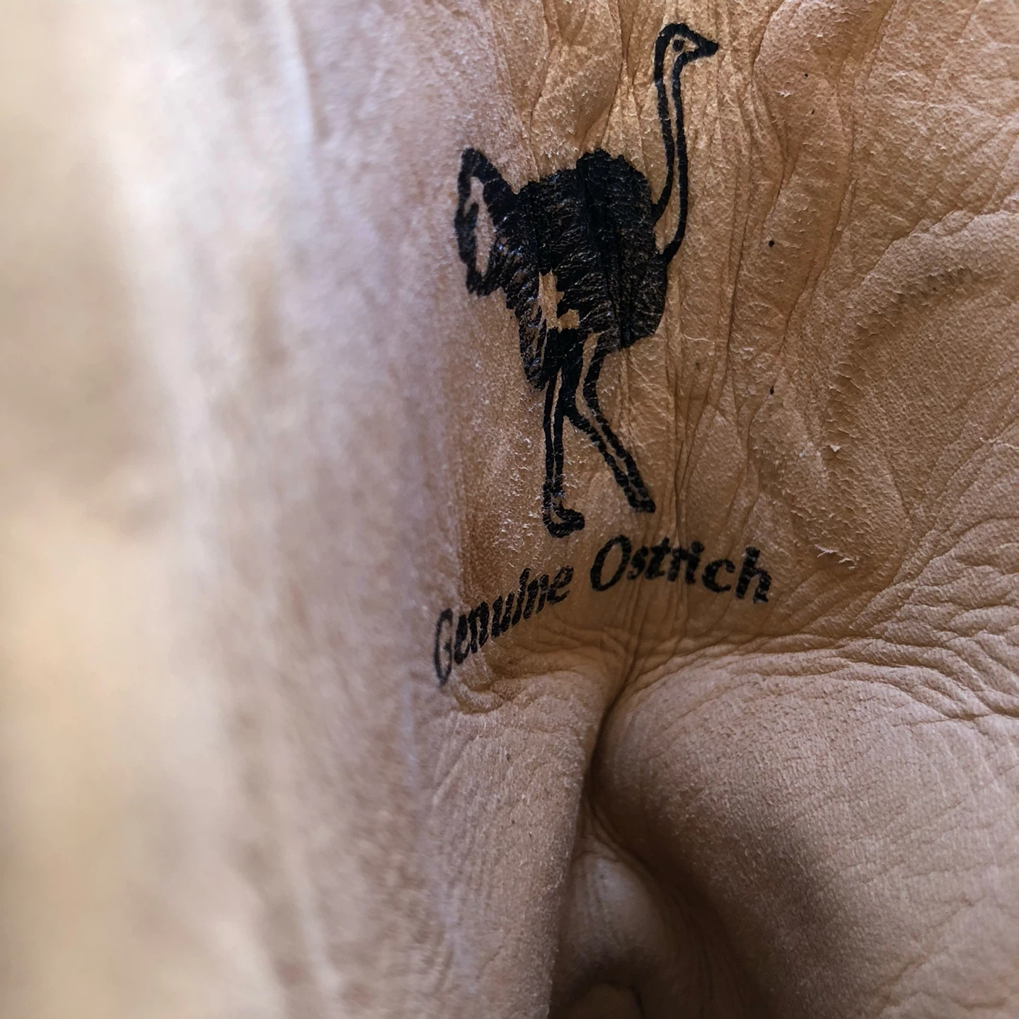 Los Altos Genuine Ostrich Cowboy Boots - Blue - photo 4