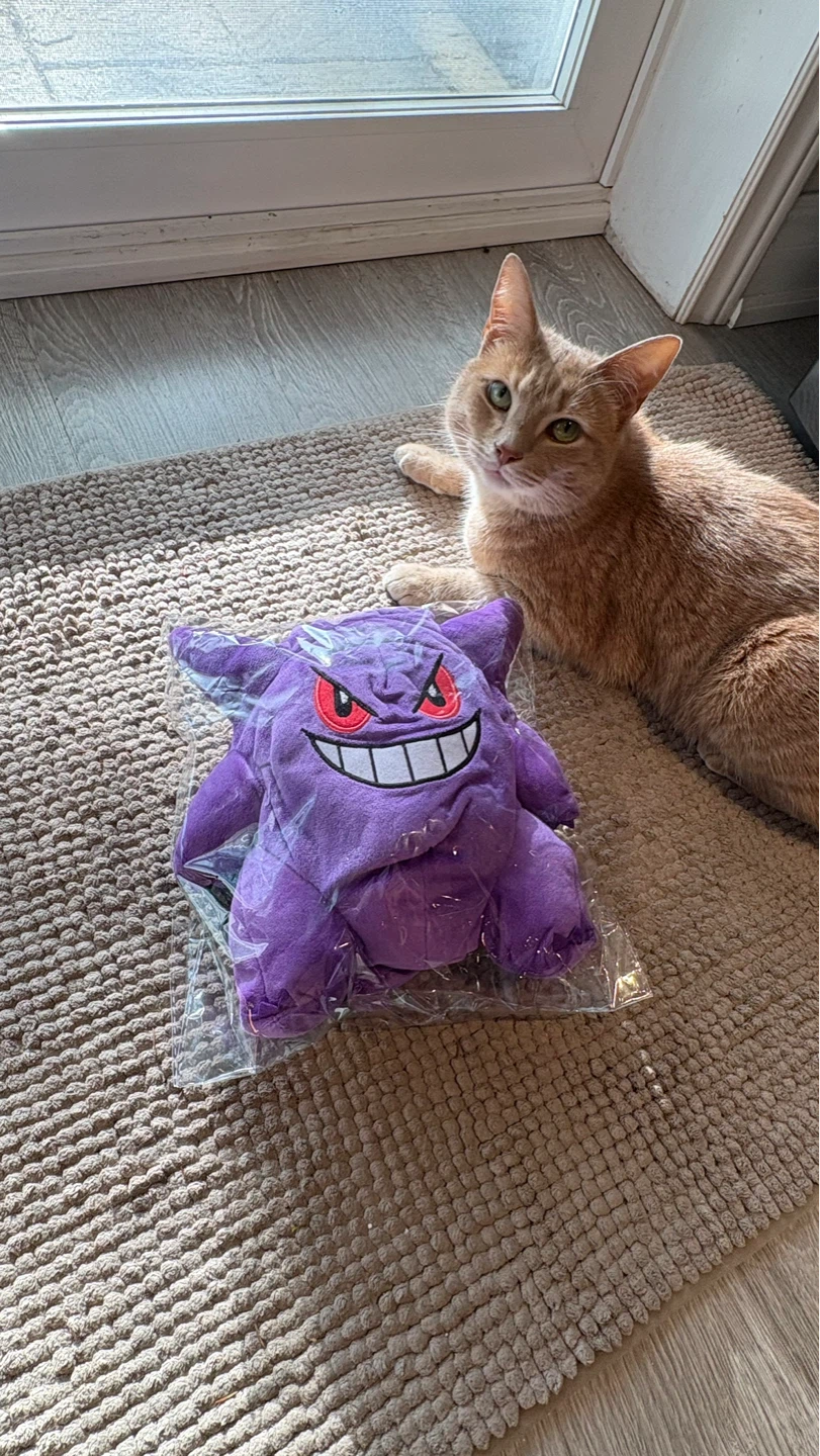 Pokémon Chalk Bags for Climbing
