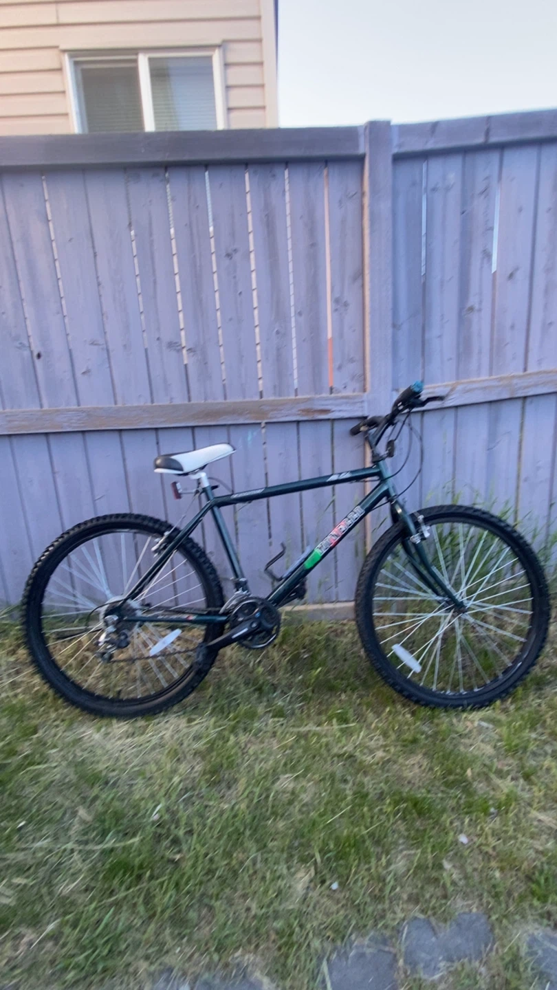 Minelli Alta Echo Mountain Bike - photo 3