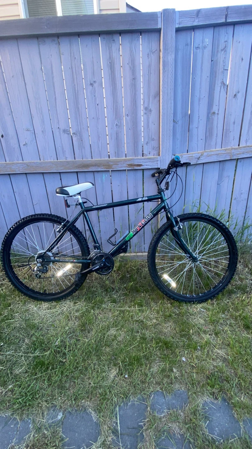 Minelli Alta Echo Mountain Bike