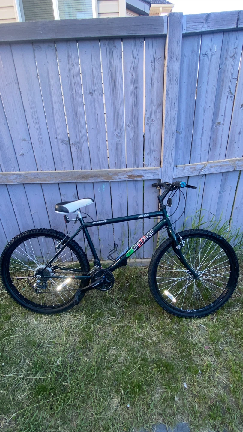 Minelli Alta Echo Mountain Bike - photo 4