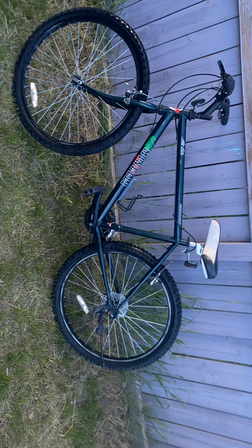 Minelli Alta Echo Mountain Bike - photo 2