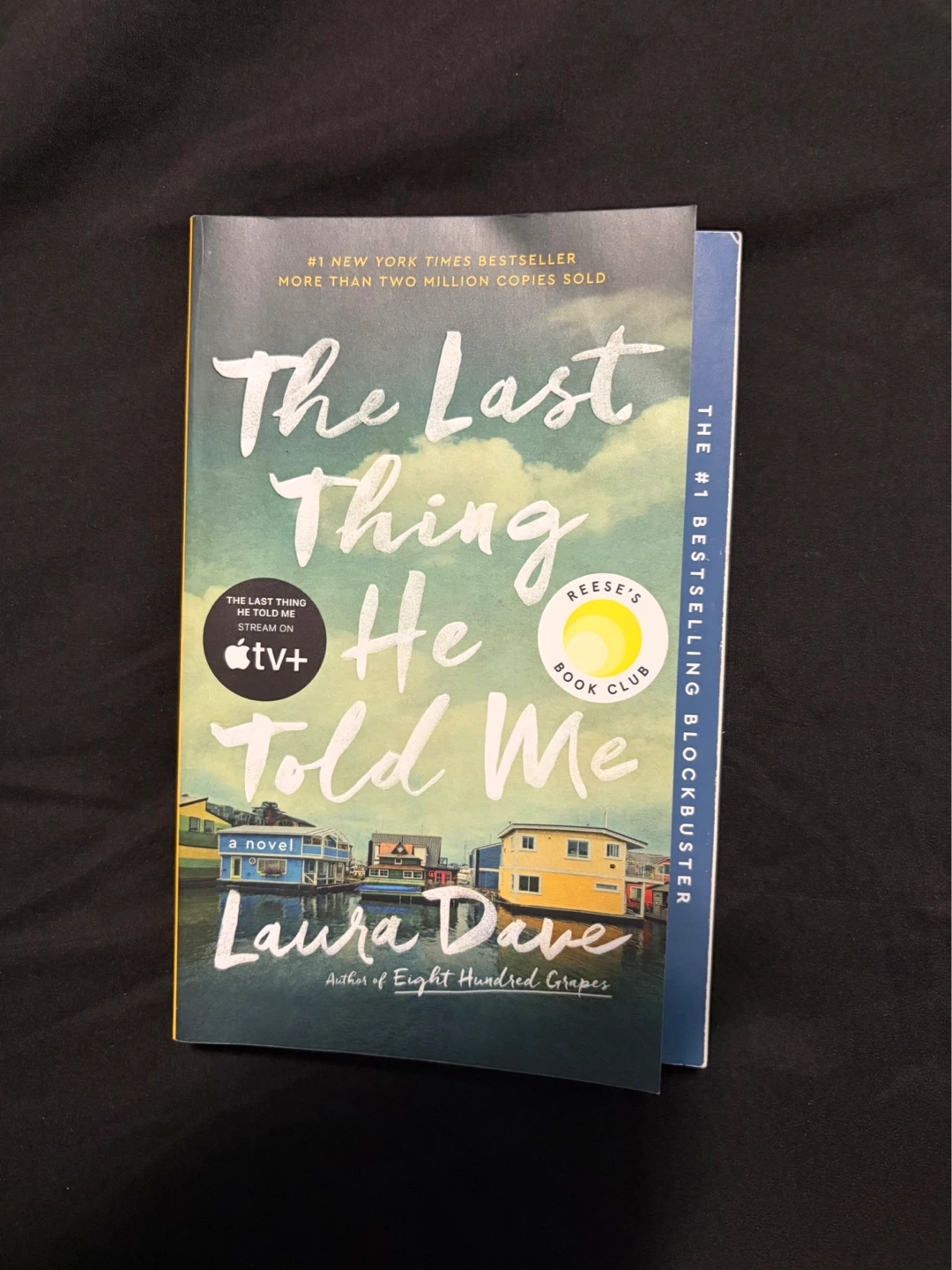 The Last Thing He Told Me by Laura Dave Novel