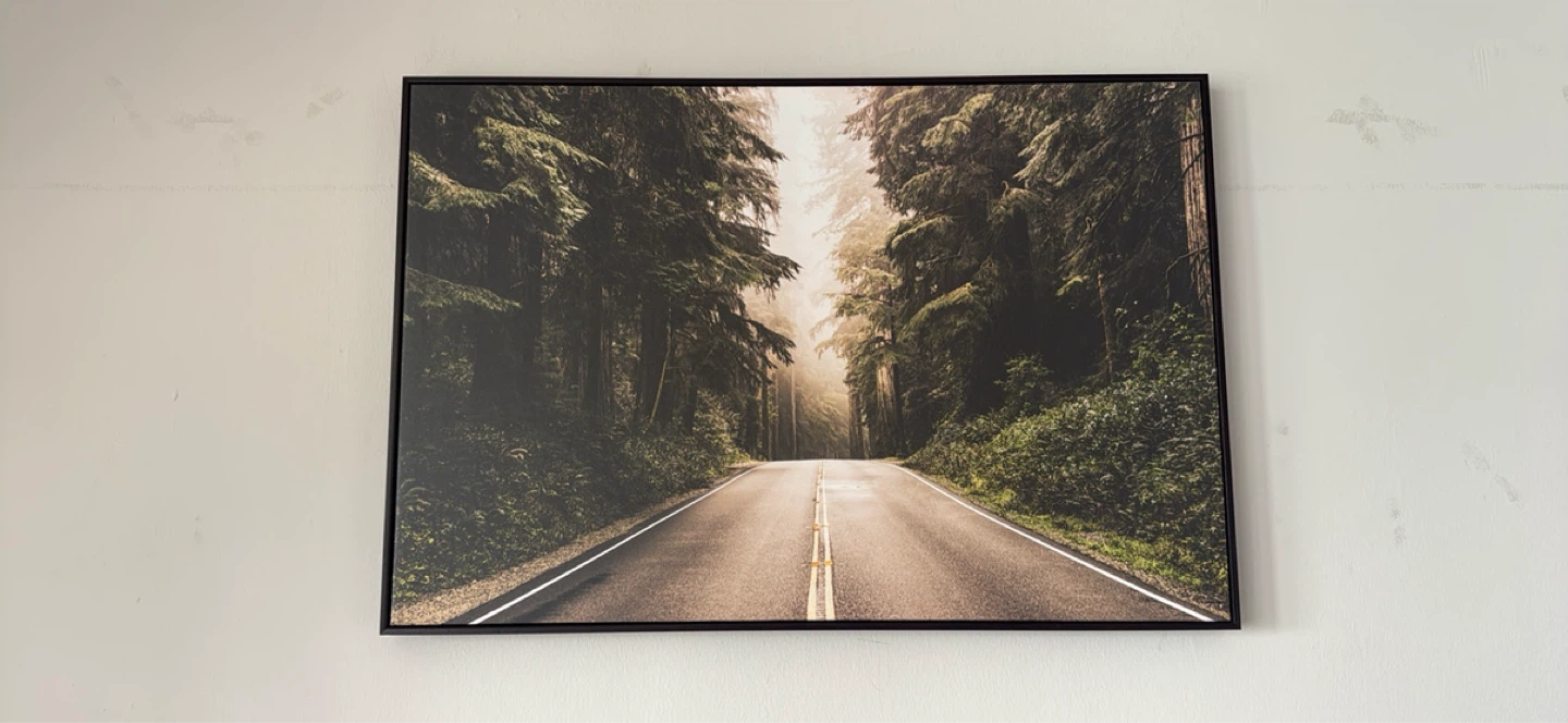 Framed Forest Road Wall Art (37 x 24 inches)
