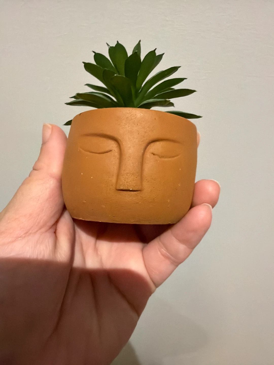 Face Planter with Faux Succulent