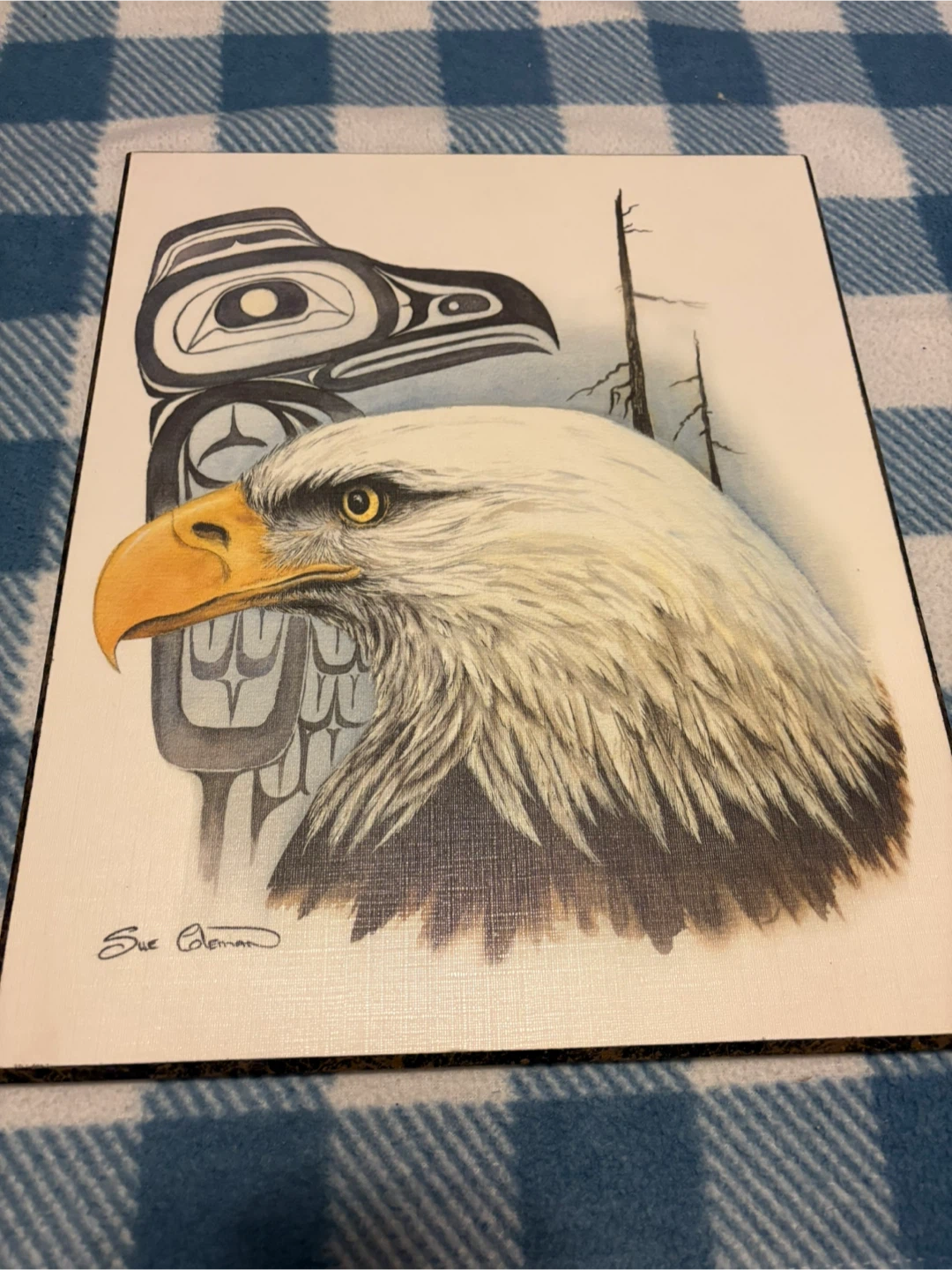 The Eagle Art Print by Sue Coleman