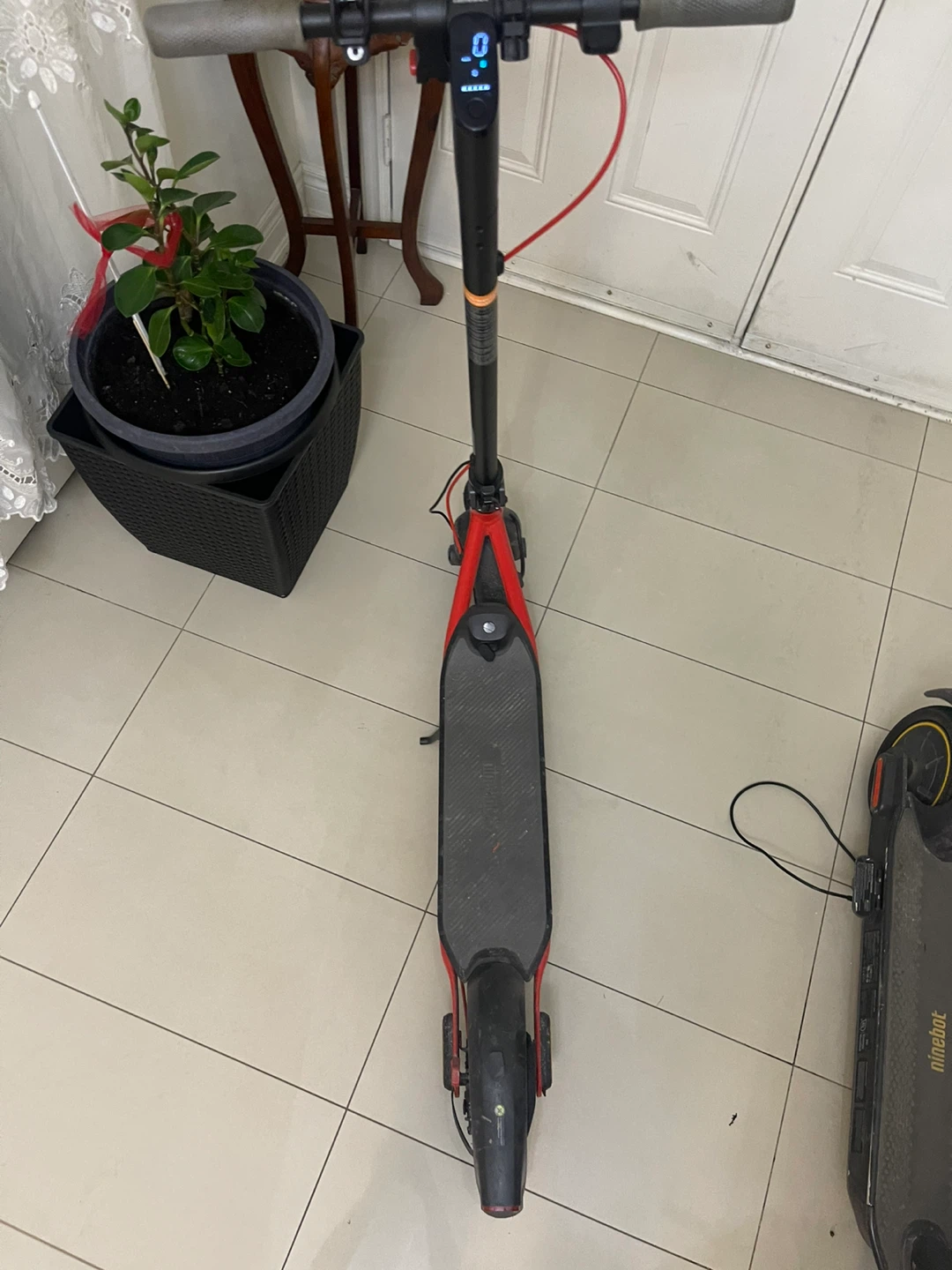Ninebot kick scooter D38U