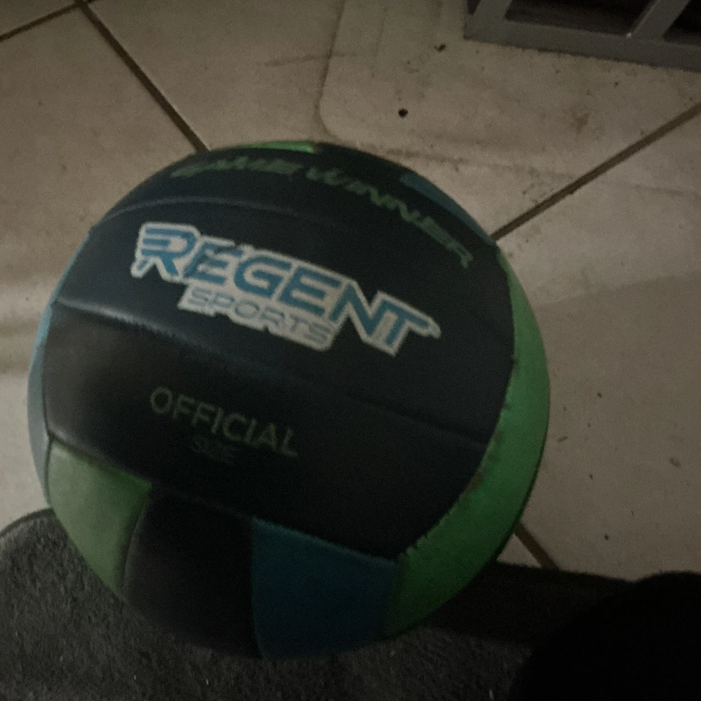 Regent Sports Official Volleyball - photo 2