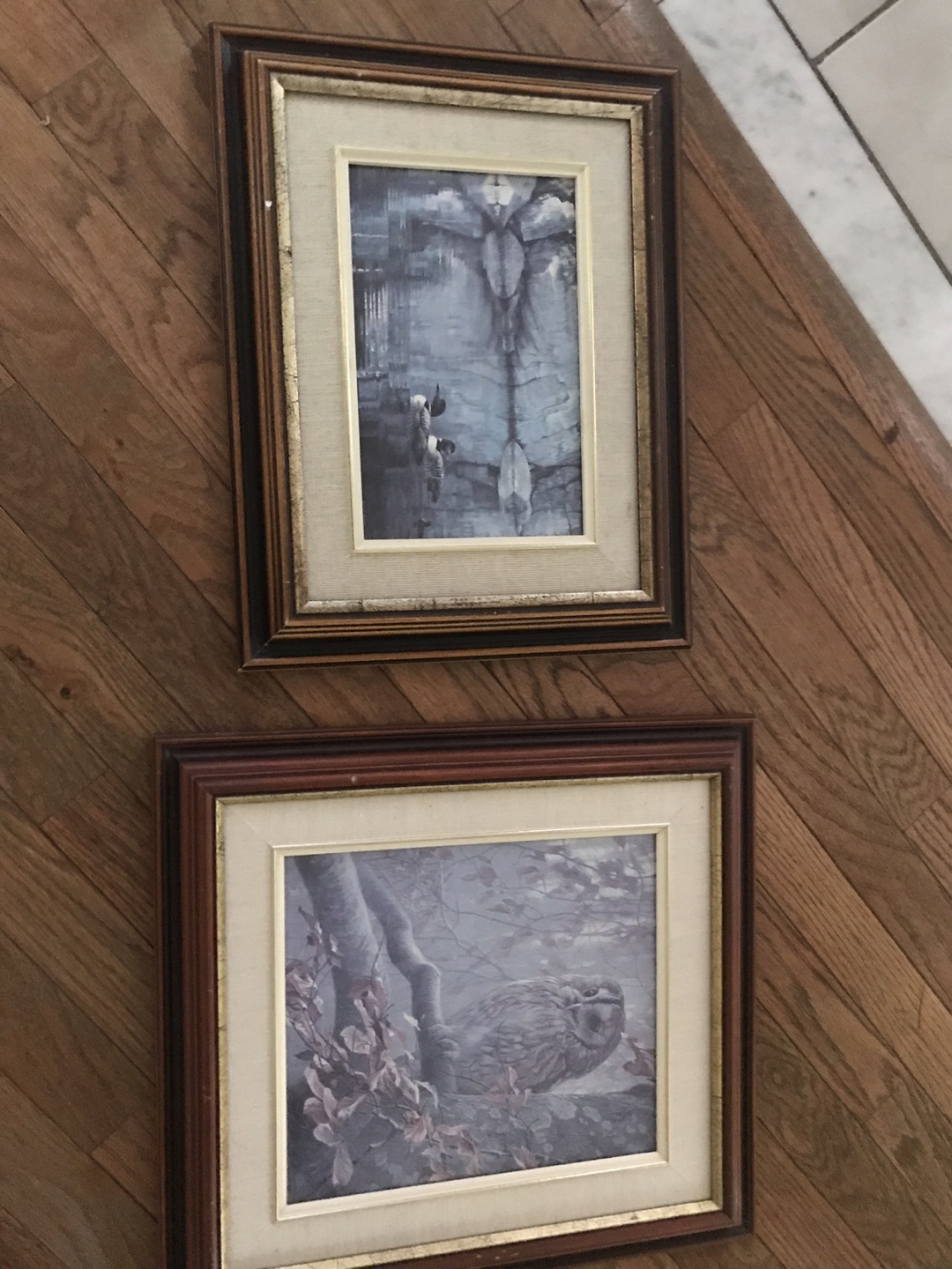 Framed Art Prints - Ducks & Owl