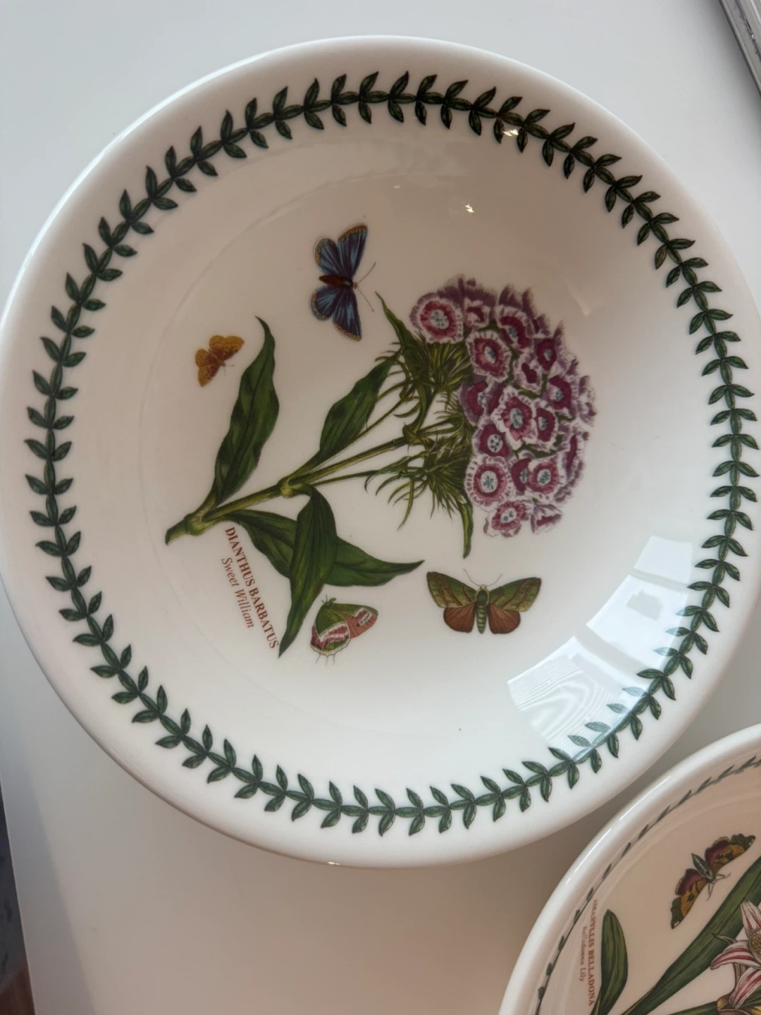 2 Portmeirion Botanic Garden Pasta Bowls - photo 2