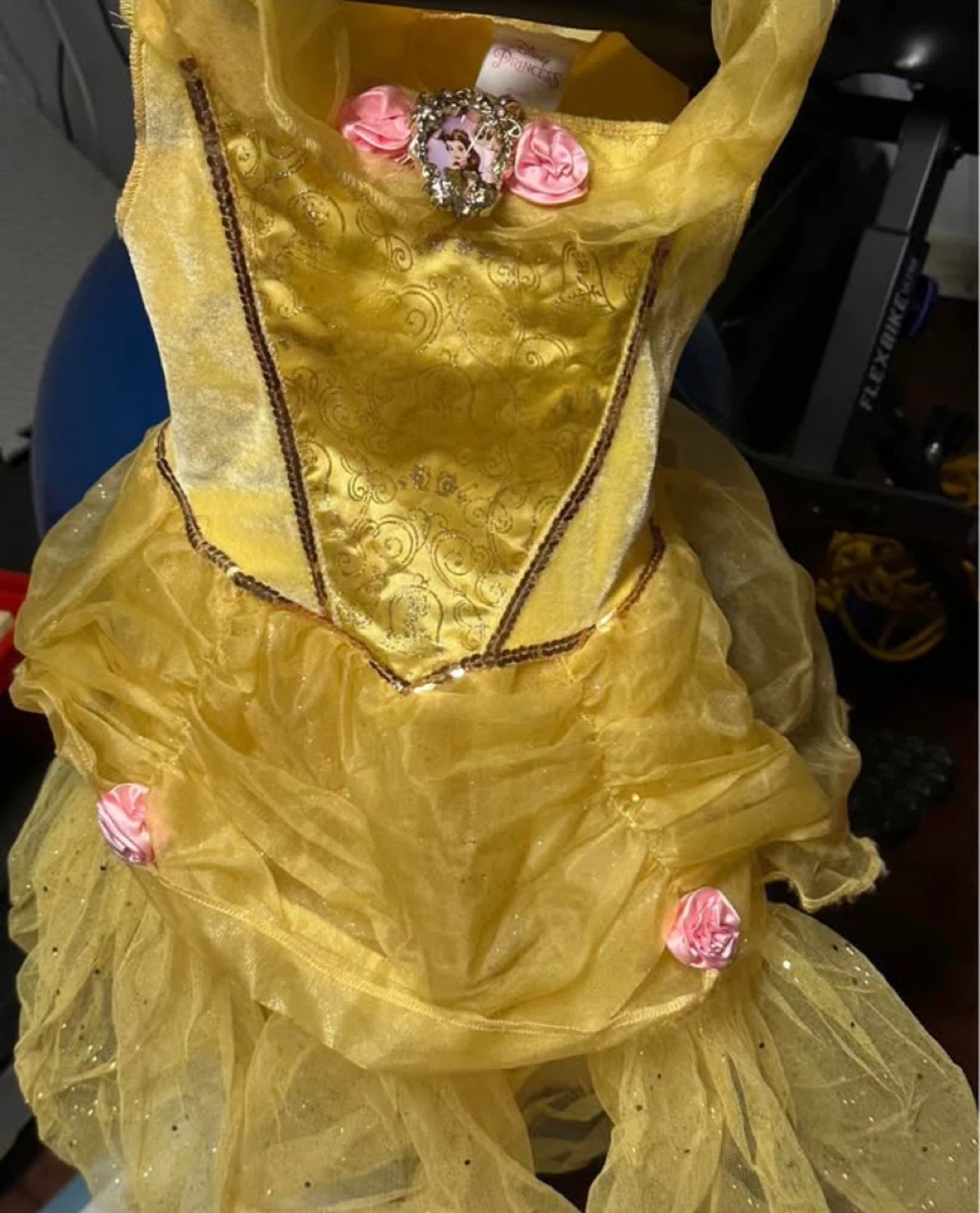 Disney Princess Belle Costume Dress