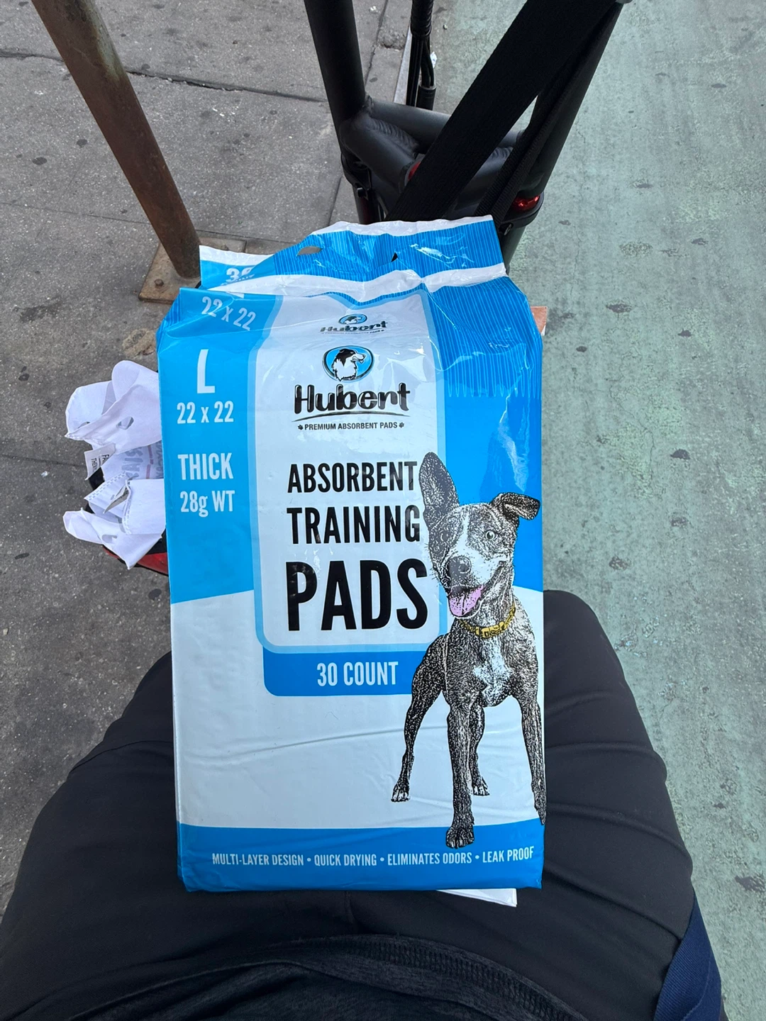 Hubert L Absorbent Training Pads - 30 Count