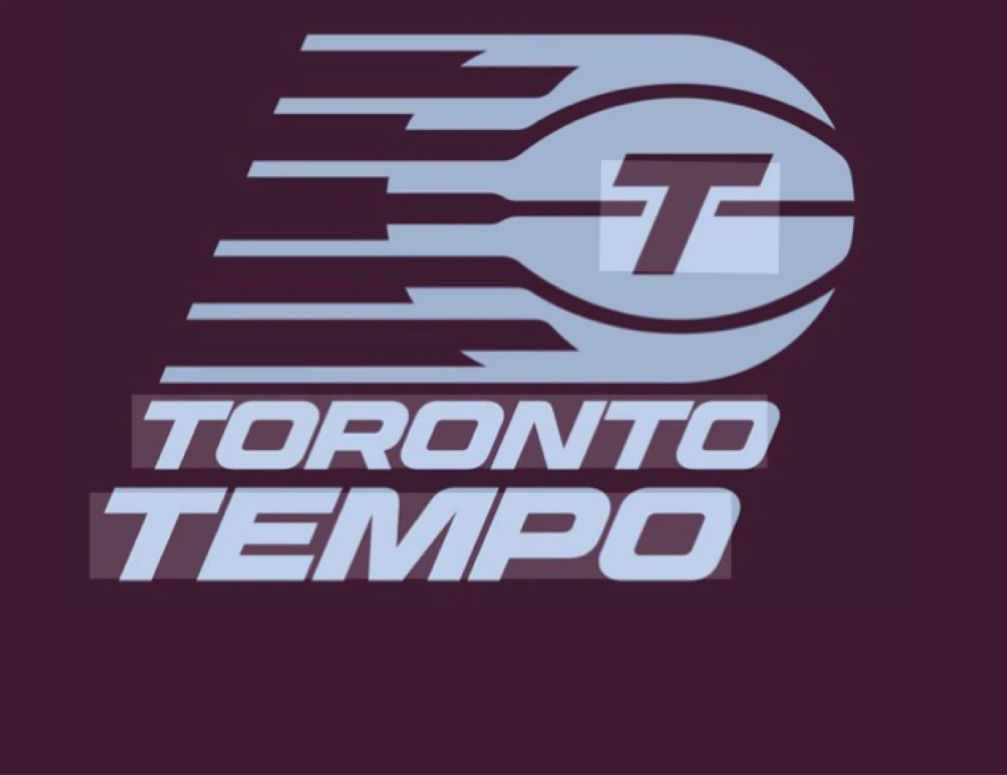 Toronto Tempo WNBA