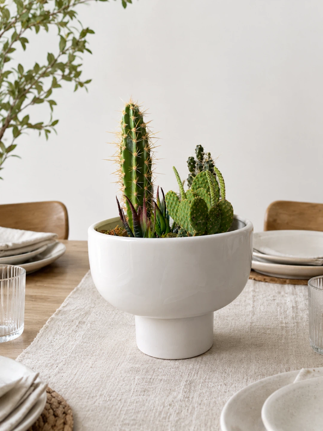 Cactus and Succulent Garden in Modern Planter - photo 2
