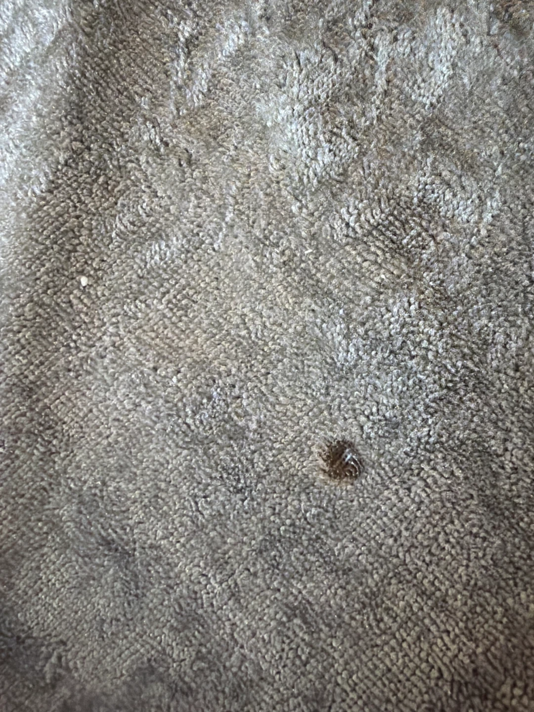 Crushed Velvet Sectional Sofa *must go by July 1st* - photo 2