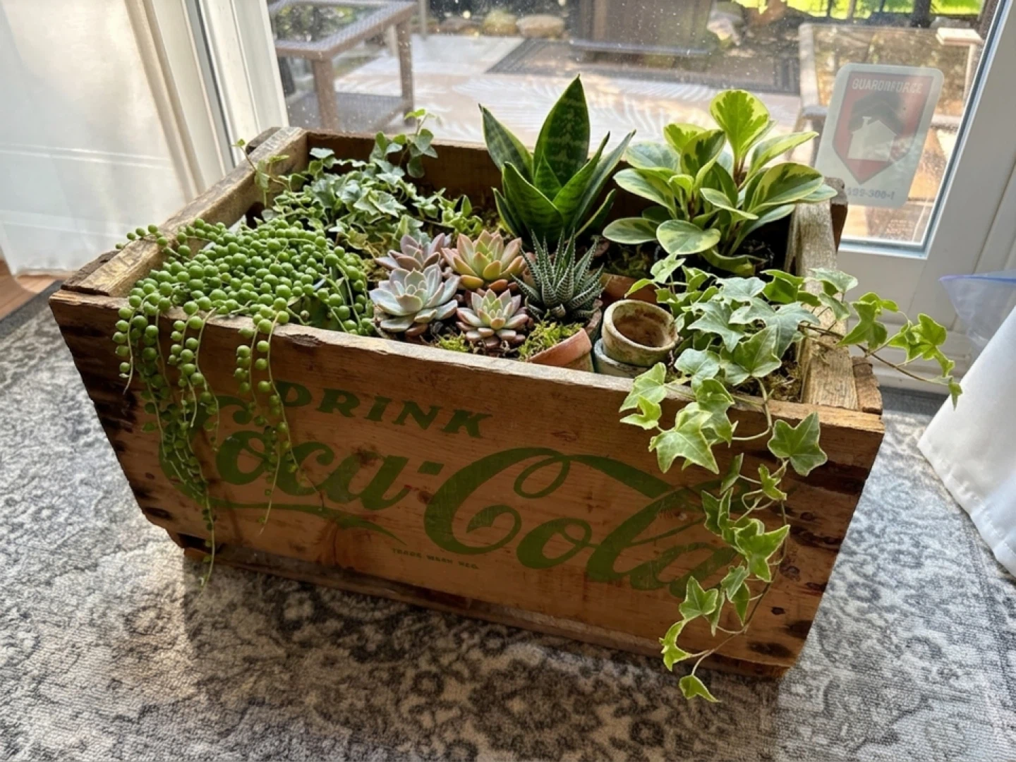 Vintage 1964 Canadian Market Coca-Cola Wooden Crate
