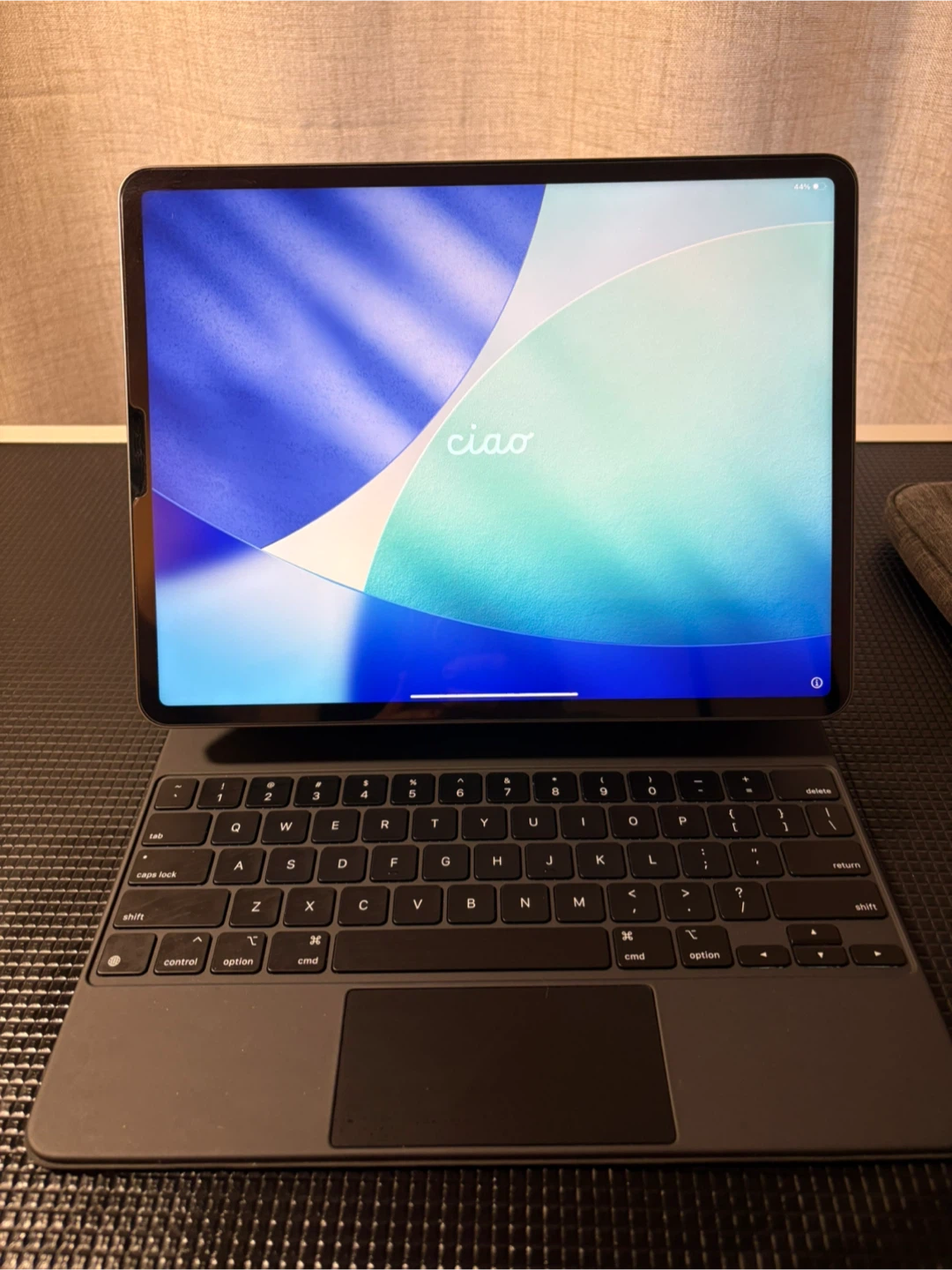 Apple iPad Pro with Magic Keyboard and Charger
