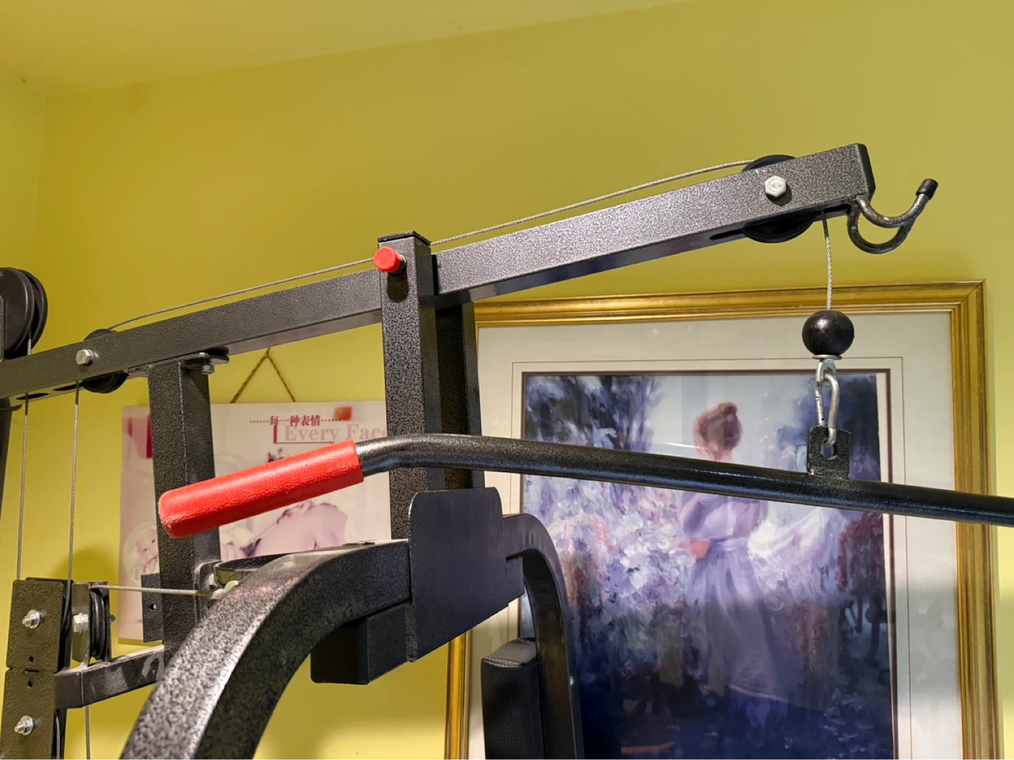 York Home Gym - photo 5