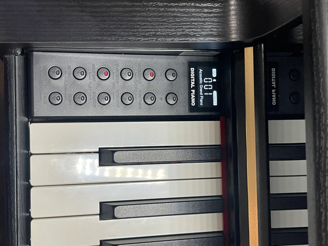 Donner DDP-400 Professional Digital Piano - photo 4