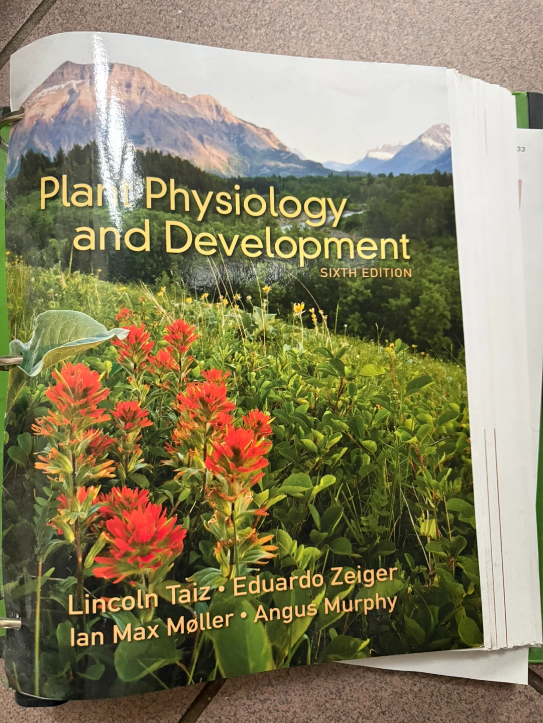 Plant Physiology and Development Sixth Edition Textbook