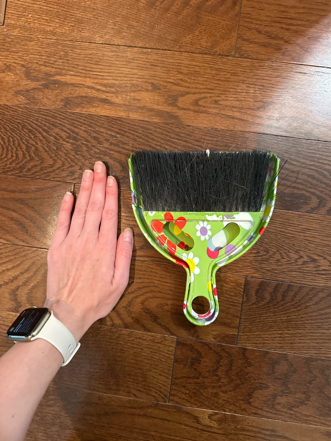 🆓 Dustpan and Brush Set