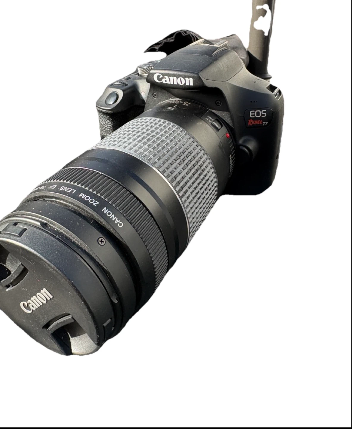 Canon Rebel T7 BUNDLE lights tripods stands & more