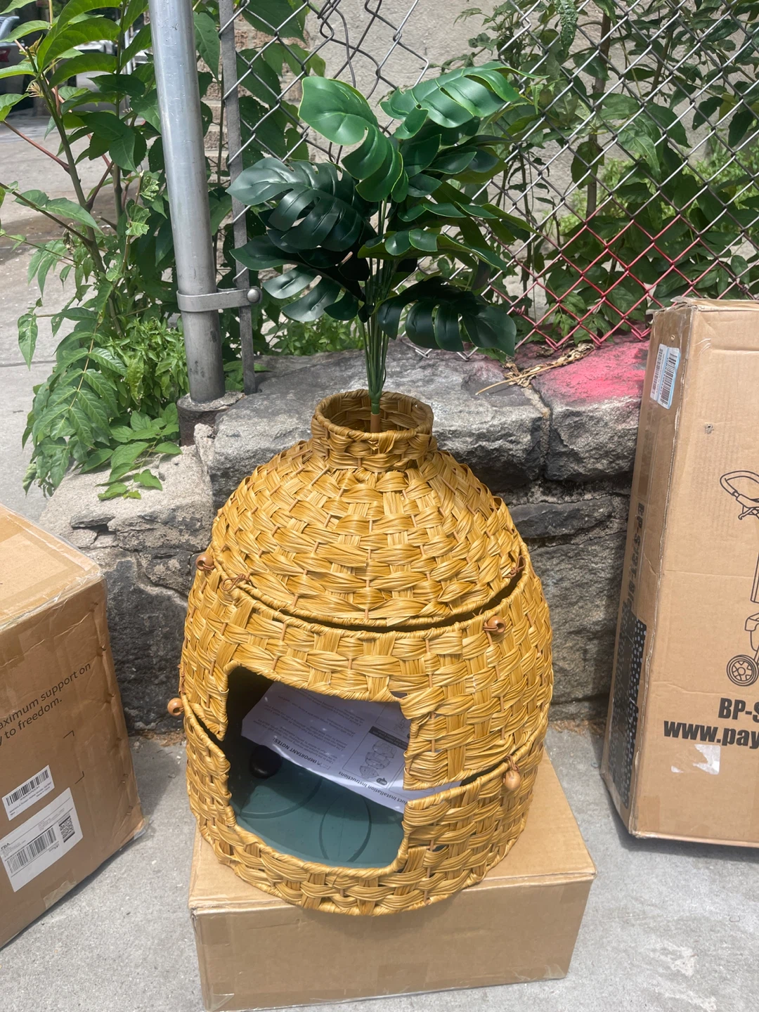 Woven Cat Bed with Plant Accent