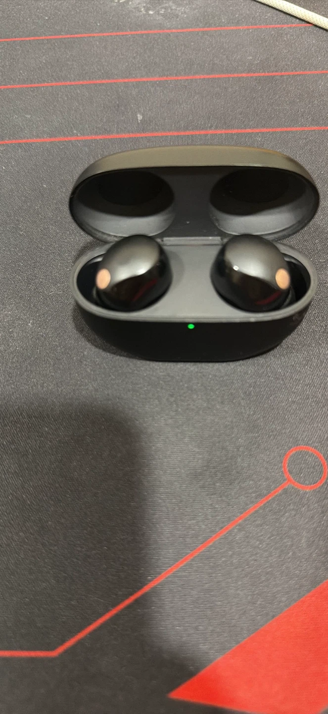 Sony Wireless Earbuds with Charging Case - photo 2