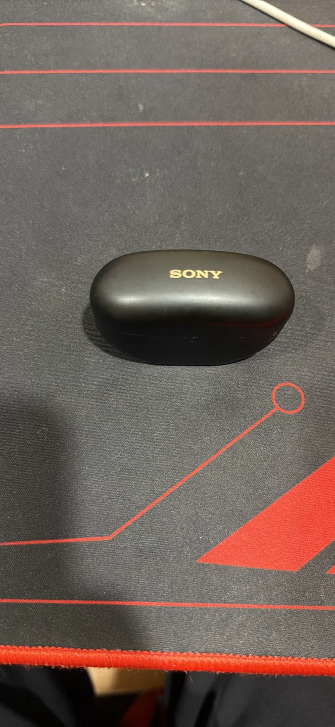 Sony Wireless Earbuds with Charging Case