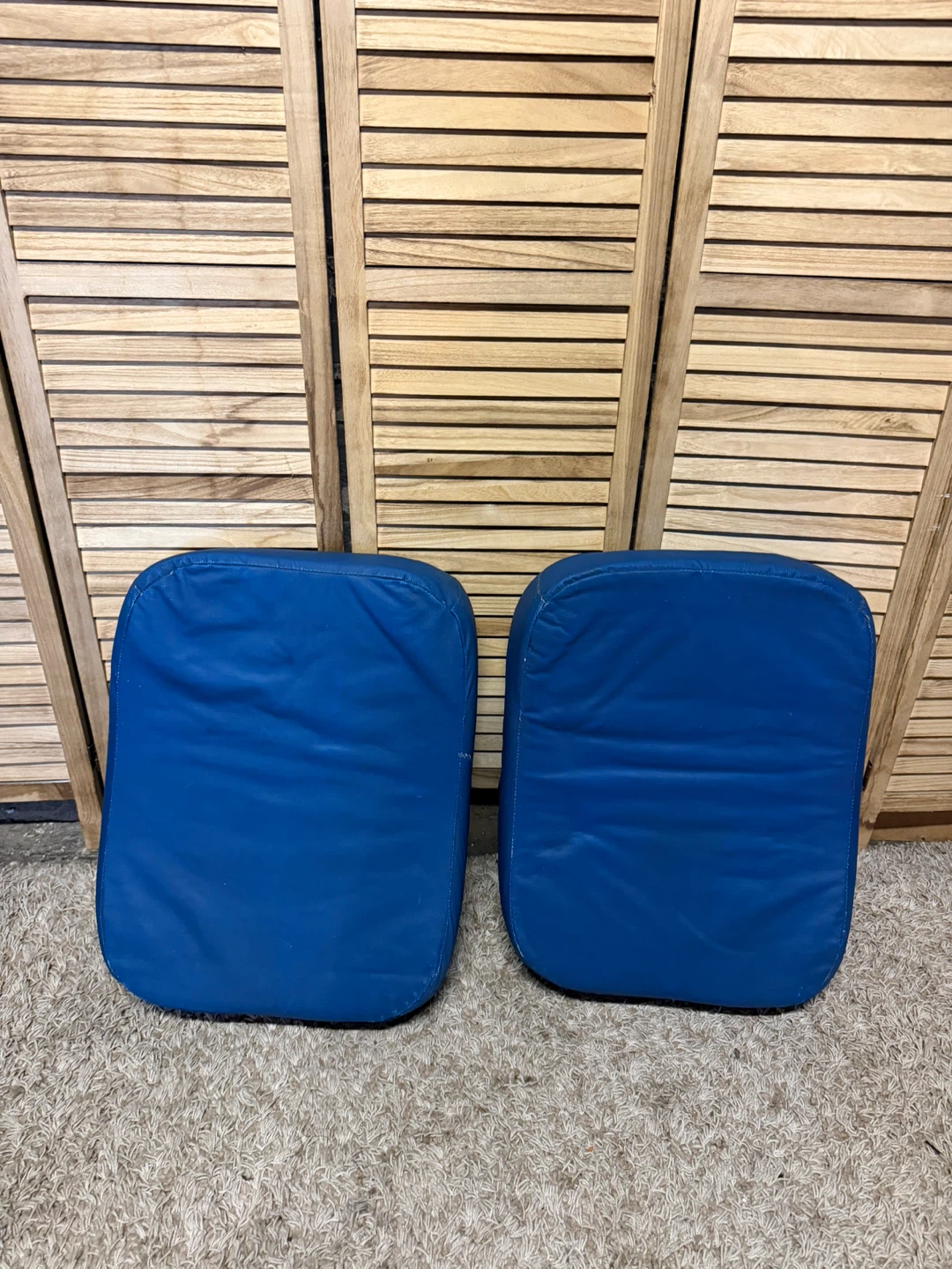 Pair of blocking shields