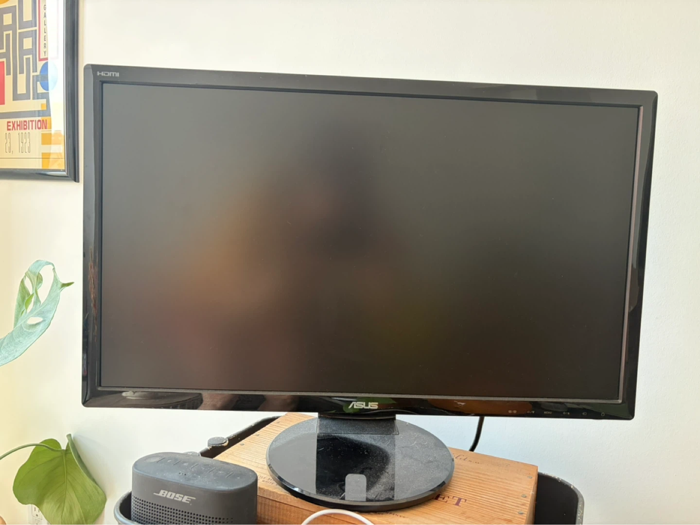 ASUS HDMI Monitor