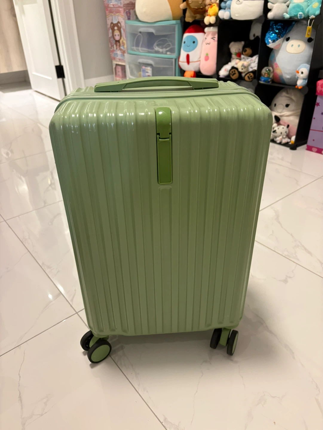 Light Green Carry-On Suitcase