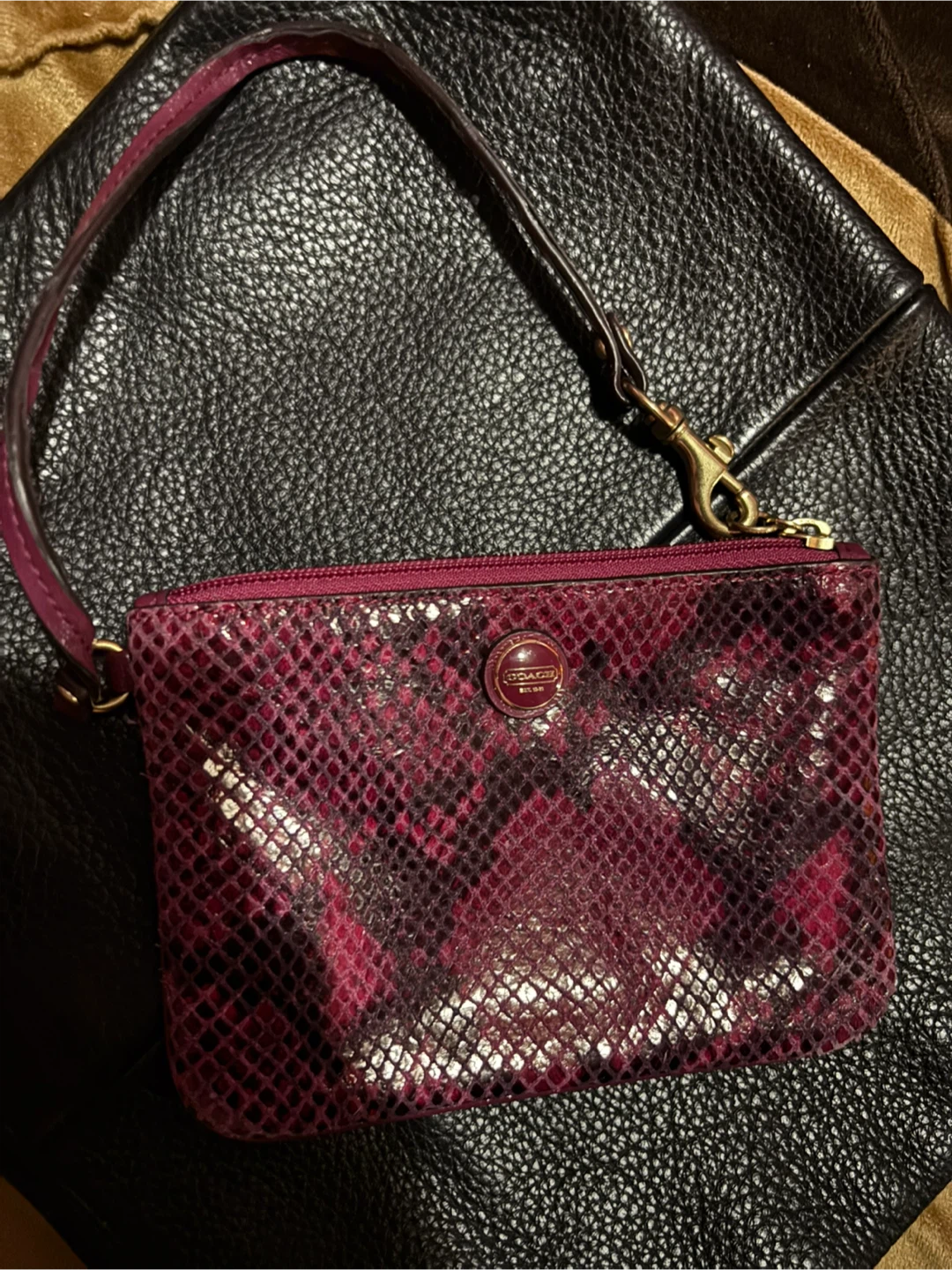 Coach Snakeskin Wristlet Clutch