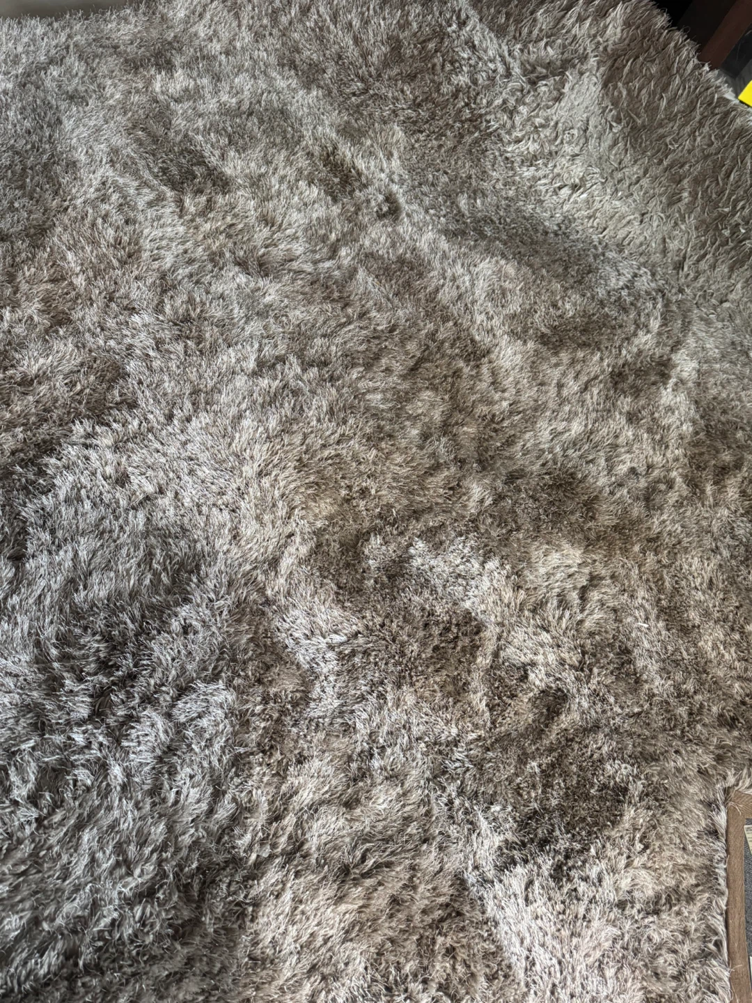 Shaggy Area Rug