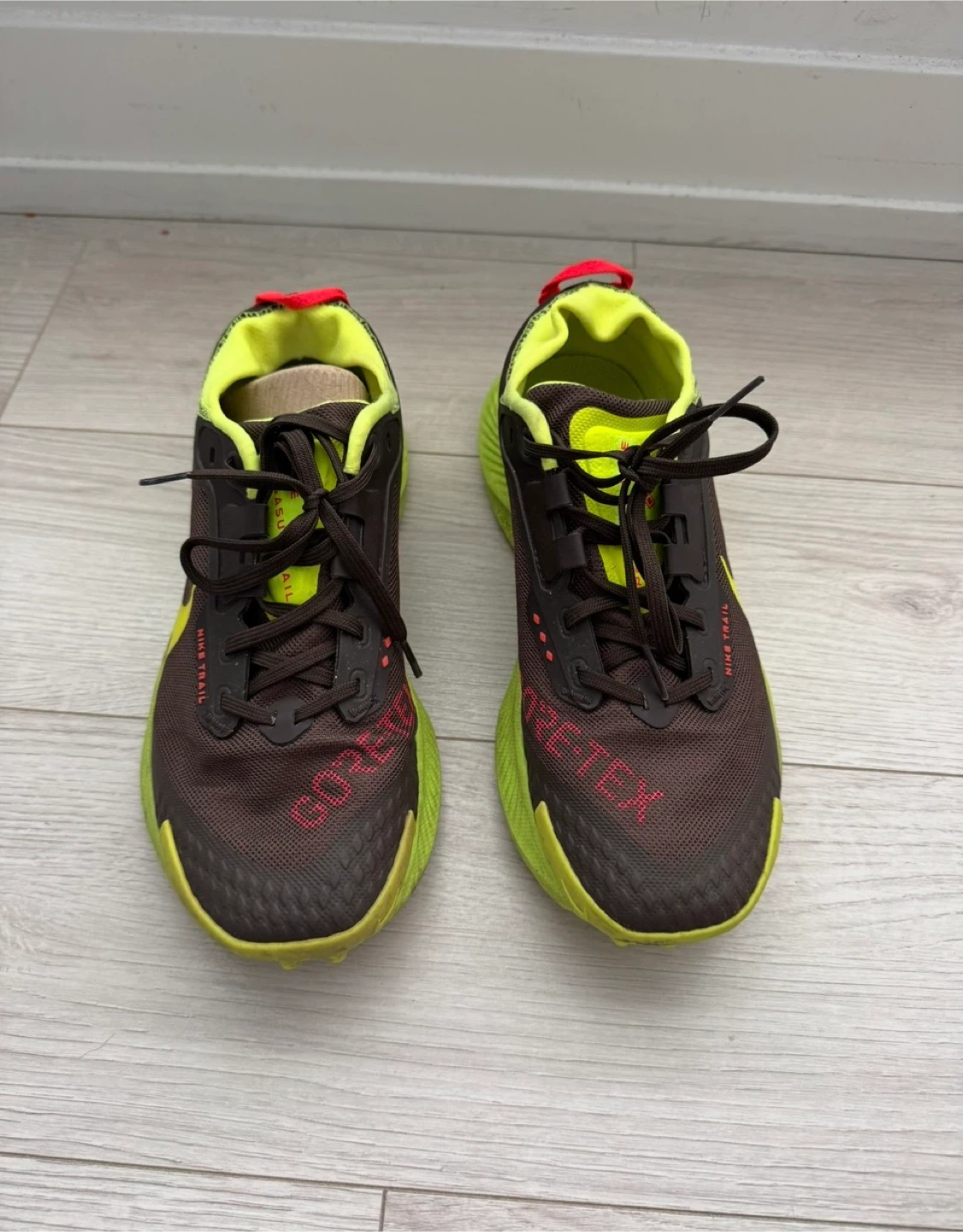 Nike Pegagus Goretex