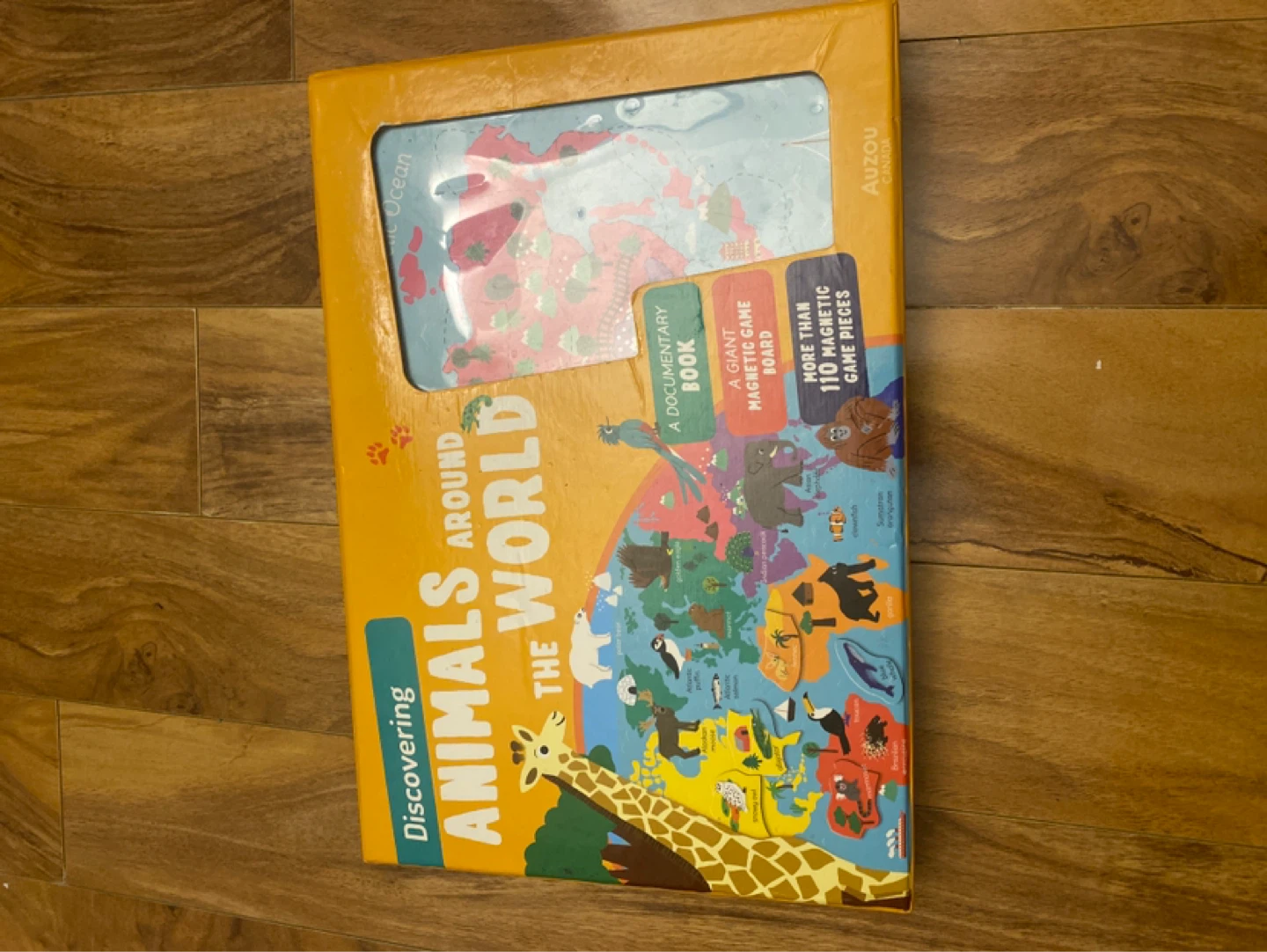 Discovering Animals Around the World Magnetic Game