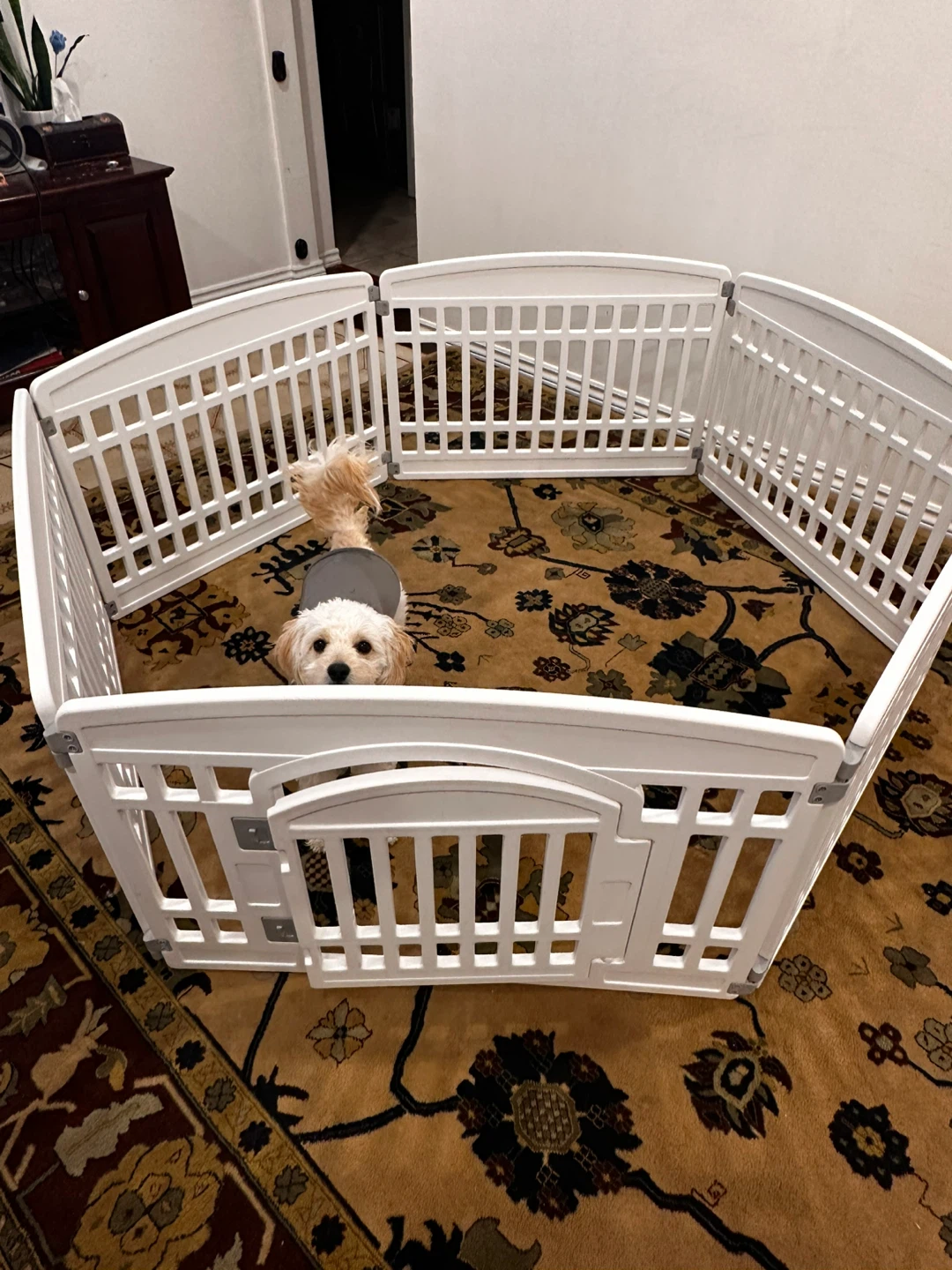 Title: White Plastic Pet Playpen / Puppy Pen with Door