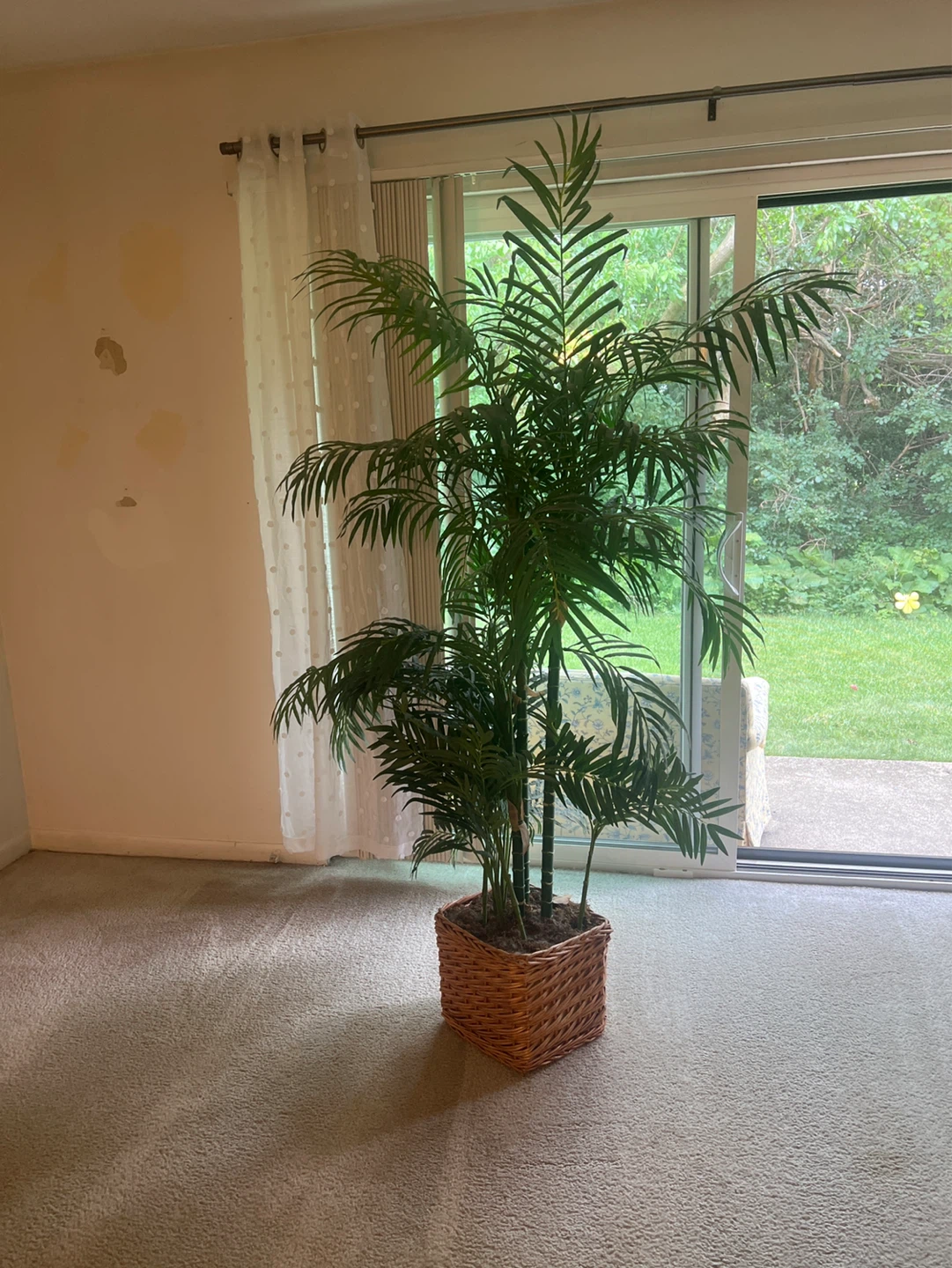 Artificial Palm Plant in Wicker Pot - photo 3